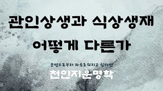 관인상생과 식상생재 어떻게 다른가
