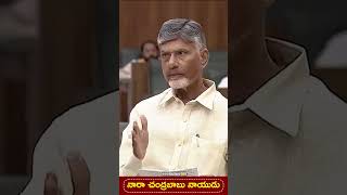 ఎవరికి దొరికింది వారు దోచుకున్నారు ! #chandrababu #apassembly #apbudget2024 #shortsfeed #ysrcp #ap