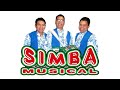 Mario Montes y SIMBA MUSICAL 