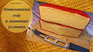 Пошехонский сыр в домашних условиях