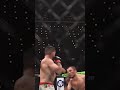 Возвращение Умара Нурмагомедова после ufc 311 ufc mma мма