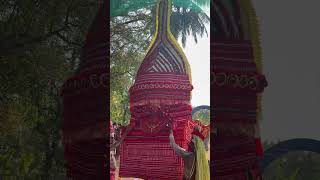 Aaryakarakanni bagavathi amma #theyyam #shorts #youtube #youtubeshorts #yt