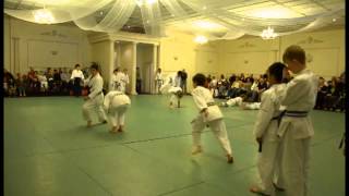 Aikido Shudokan 33rd Anniversary Demonstration - Fast \u0026 Furious Special