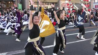 心 纏 い@2019❜　瑞浪バサラカーニバル（公園線北会場）