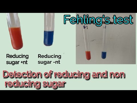 Fehling's Test | Princple | Procedure | Uses | Detection Of Reducing ...