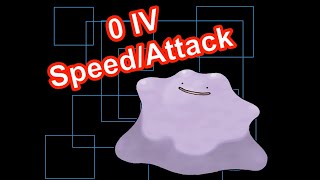 0 IV Ditto Scarlet/Violet -- Super Detailed Guide For 0 Attack and Speed IV