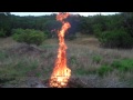 tall concentrated fire