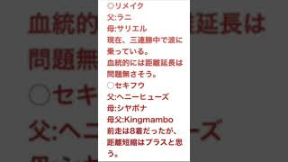 ユニコーンステークス2022予想