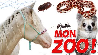 TOUS MES ANIMAUX (présentation de mon ZOO 2020)