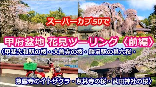 山梨県甲府盆地の桜を求めて花見カブツーリング〈前編〉甲斐大和駅～大善寺～勝沼駅甚六桜～慈雲寺のイトザクラ～恵林寺(武田氏菩提寺)～武田神社～甲州夢小路（甲府駅北口）2021年3月29日実走ドラレコ映像