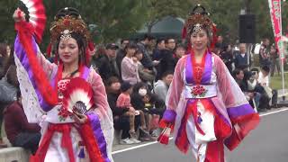 草加ふささら祭り'19 流し会場2 幸の神・龍星連