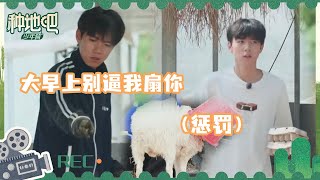 赵一博与小卷毛大战三百回合 向大哥蒋敦豪告状 | 种地吧 EP40花絮 | Become a Farmer | iQIYI综艺