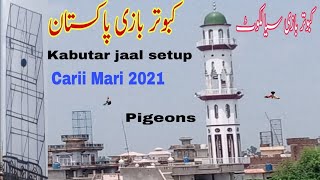 kabutar jaal setup naya banaya hai Sialkot cage pingra loft Pakistan naya setup parwazi pigeons 🇵🇰💯