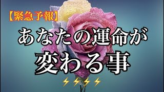 【緊急予報】あなたの運命が✨変わる事🌈恐ろしいほど当たるルノルマン🔮