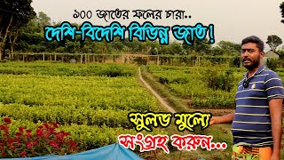 বিসমিল্লাহ নার্সারিতে ১০০ প্রজাতির ফলের গাছের চারা পাবেন | উদ্যোক্তার খোঁজে