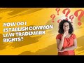 HOW DO I ESTABLISH COMMON LAW TRADEMARK | True Lawyer LLC