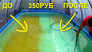 350 рублей и Бассейн чистый!