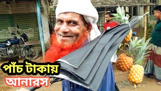 পাঁচ টাকায় মিষ্টিআনারস বিক্রিহয় এ বাজারে || pineapple big market || pineapple garden travel video .