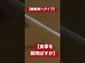 【観客席ダイブ】紳士な野球選手【感動】 shorts short 名言 感動 モチベーション 挑戦 自己啓発 成功 思いやり