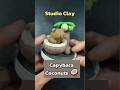 Making Capybara Coconuts 🥥 with clayart #clay #capybara #shorts