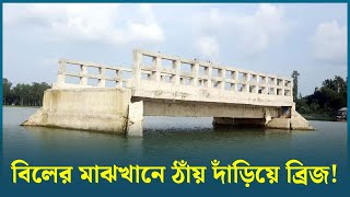 বিলের মাঝখানে ঠাঁয় দাঁড়িয়ে ব্রিজ! | Tangail News | Dhaka Post