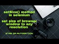 Set window size to specific resolution using setSize() in selenium