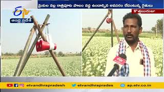 Install Mic for Protect Crops from Birds | Farmers Innovative Idea | Kothaburuju | పంట రక్షణకు మైక్