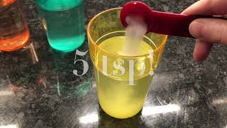 Salinity Experiment Set Up