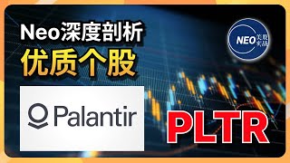 深度剖析优质个股 Palantir PLTR