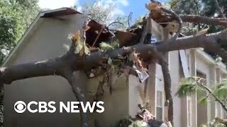 Helene sends trees tumbling into Florida homes