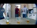 beer pong carlsberg from www metacafe com