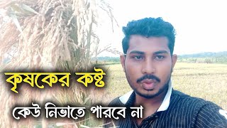 কৃষকদের কষ্ট কেউ নিভাতে পারবে না,একজন কৃষক কত কষ্ট করে মাঠে ফসল ফলায়।