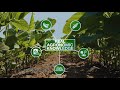 BASF Grow Smart Advantage Tool - Crop Protection Technology