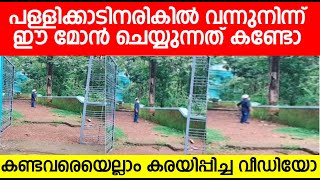 പള്ളിക്കാടിനരികിൽ വന്നുനിന്ന് ഈ മോൻ ചെയ്യുന്നത് കണ്ടോ . കണ്ടവരെയെല്ലാം കരയിപ്പിച്ച വീഡിയോ .