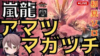 【モンハンサンブレイク】アプデ第5弾アマツマガツチ、ガチ初見ソロ　ヘビィボウガン【MHSB】