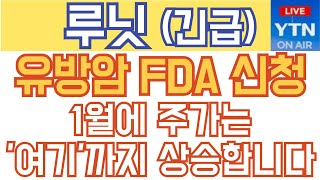 루닛 주가전망 - 속보) 유방암 FDA 신청! 1월에 주가는 '여기'까지 상승합니다!