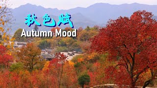 《秋色赋》   Autumn Mood