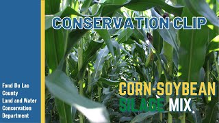 Conservation Clip: Corn-Soybean Silage Mix