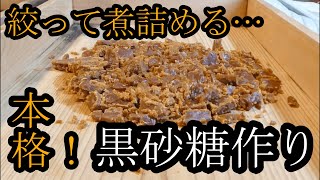 サトウキビを絞って黒砂糖を作ってみた！