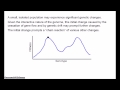 Punctuated Equilibrium 1