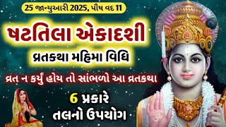 25 જાન્યુઆરી 2025, પૌષ વદ ષટતિલા એકાદશી | વ્રતકથા મહિમા વિધિ | Shattila ekadashi vrat katha