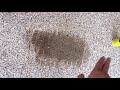 how to remove embedded tire marks from your epoxied garage floor.