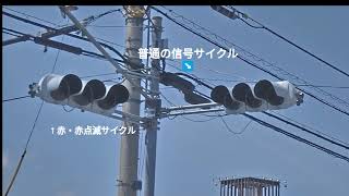 徳島　変わった信号サイクル