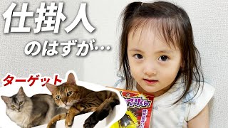 猫たちにゴキブリドッキリを仕掛けようとするも、結局自分が怖くなってしまう4歳娘