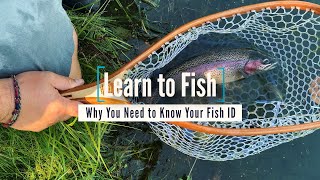 Learn to Fish: Why You Need to Know Your Fish ID | GoFishBC