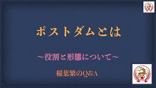 ポストダムについて〜役割と形態について〜