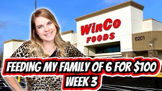 $100 Extreme Grocery Budget Week 3 Part 1 |Feeding my Family of 6 on $100/Week | $400 Monthly Budget