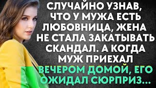 Случайно узнав, что у мужа любовница, жена не стала поднимать скандал  А когда муж приехал домо