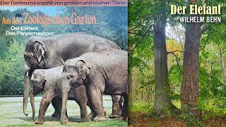 Tierfreund Wilhelm Behn Der Elefant