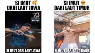 Si Imut Dari Laut Jawa 🥰 VS Si Imut Dari Laut Timur 😍